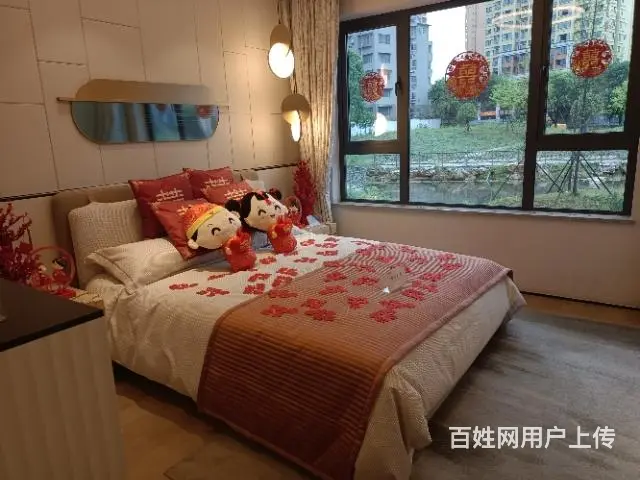 南充嘉陵文德南光未来城 - 图片 2