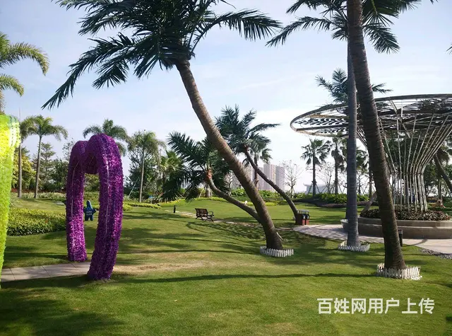 职业股票交易培训 - 图片 8