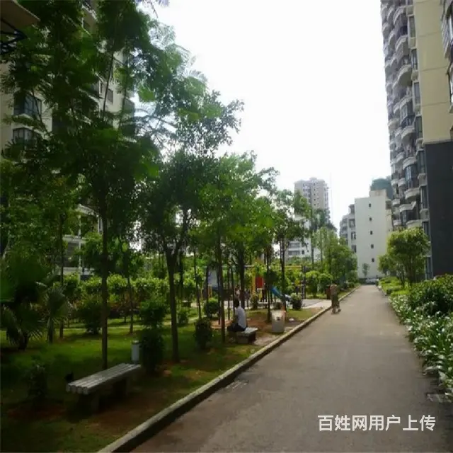 轻轨东站对面  华荣府2房毛坯房朝南 - 图片 11