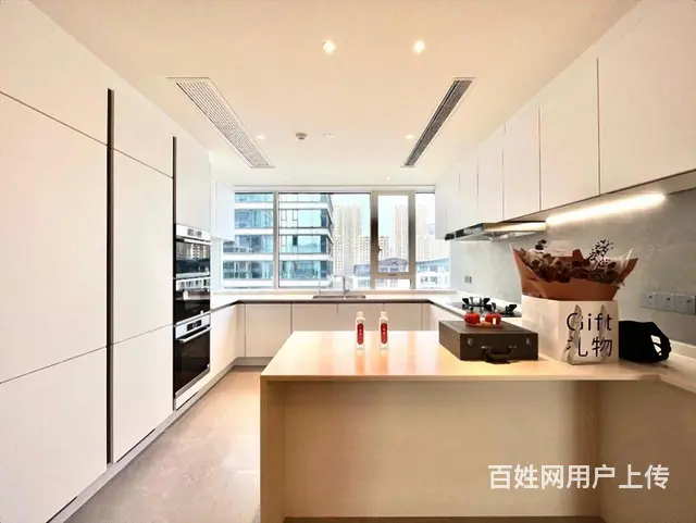 西兴滨江御滨府(商住楼)豪华装修多层[1-7层]306.51 - 图片 6