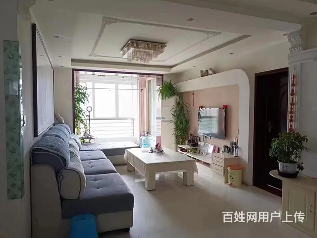 中原世纪苑 普通住宅 精装修送23平地下室 - 图片 2