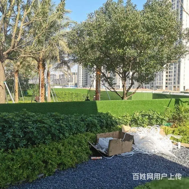 香海大桥旁斗门湖心新城 湖心明荟1.4万起带精装 86平3房 - 图片 12