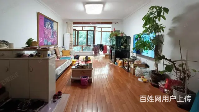 五中家乐福，南北通透，三室两厅两卫，采光好二楼， - 图片 1