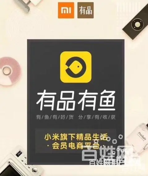 有品有鱼资料情况,有品有鱼核心团队 - 图片
