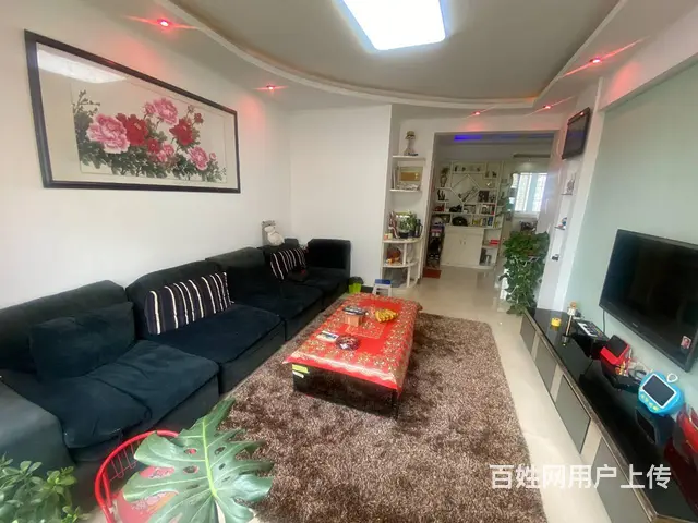南昌路  丹尼斯旁 明珠花园  精装三室  双气电梯 - 图片 6