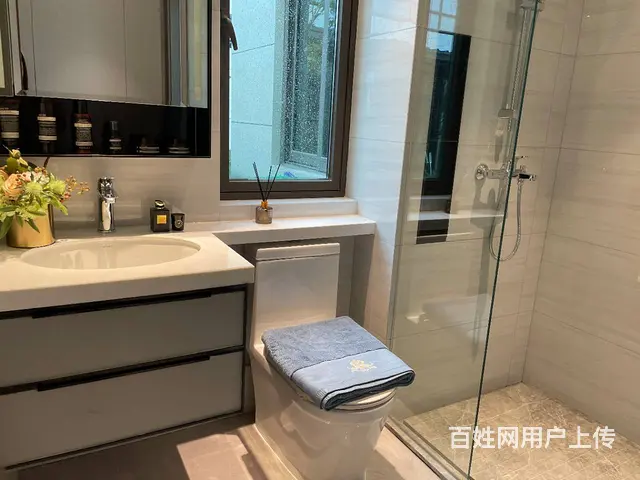湖州西南科技城佳源四季景园齐全总价110万可随时看 - 图片 6