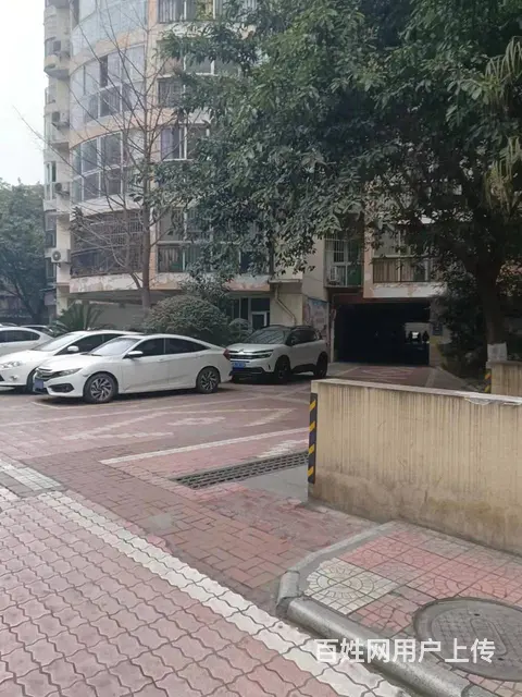 东方红桥头人民医院对面成绵路小学富临金色时代 - 图片 7