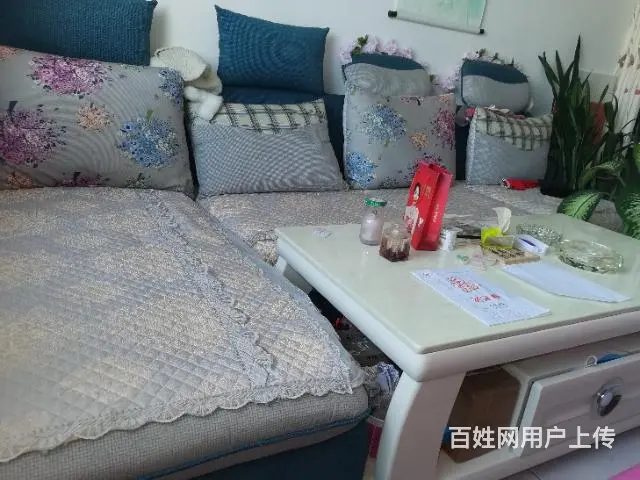 【搞定了！】沙发，茶几 - 图片