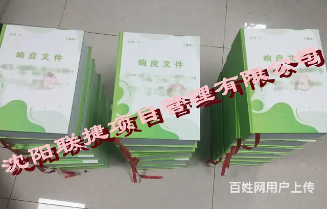 辽采项目制作，CA办理，企业入库，文件上传 - 图片 3