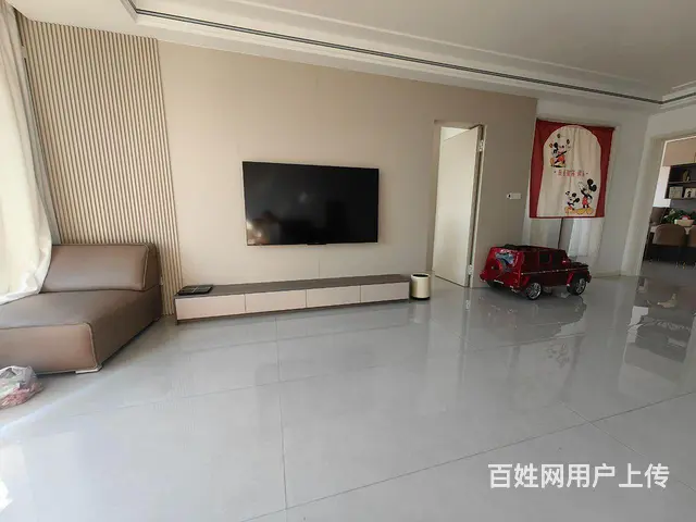 生完孩子刚住半年第一次出租 - 图片 7
