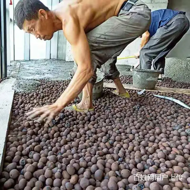 珠海陶粒 过筛无粉尘的靓陶粒 颗粒均匀饱满 硬度强 - 图片 3