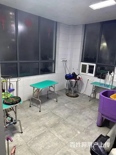 (旺铺猫)：兖州 带几百会员，经营多年宠物店 - 图片 3