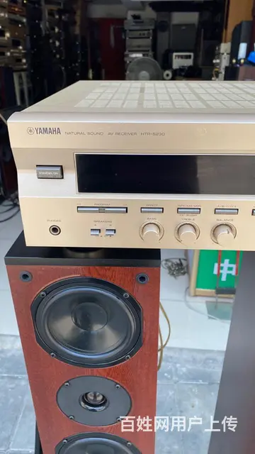 转让一对丹麦雅锐发烧音箱，低音在侧面，配套马来西亚 - 图片 2