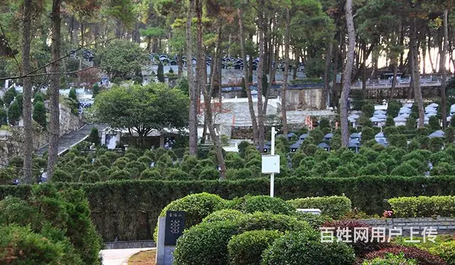 乌鲁木齐米泉市北郊公墓,地址是在什么地方,电话多少 - 图片 3