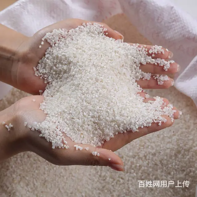 缅甸碎大米酿酒熬粥饲料五谷杂粮食品加工厂原料碎米 - 图片 4