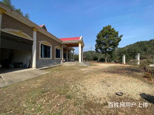 （房东直租）果园镇黄兴大道浔龙河整栋房屋院子，带山林鱼塘出租 - 图片 4