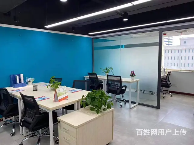 一对一专业会计代理记账 实际地址挂靠 免费代办执照 - 图片 1