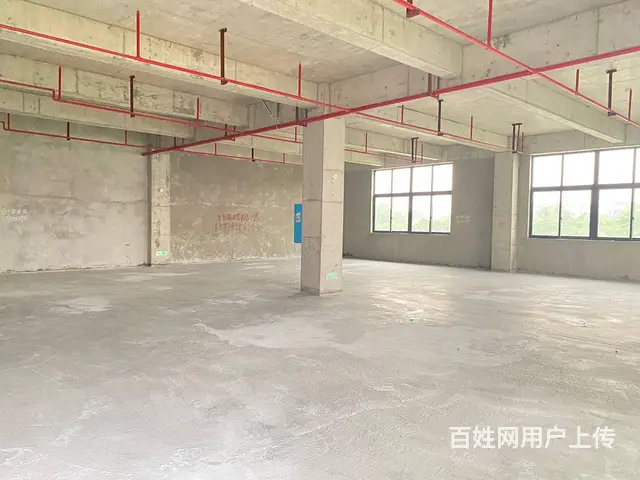 （房东直租）中青路佳海园区775平厂房优价出租，可分租 - 图片 2