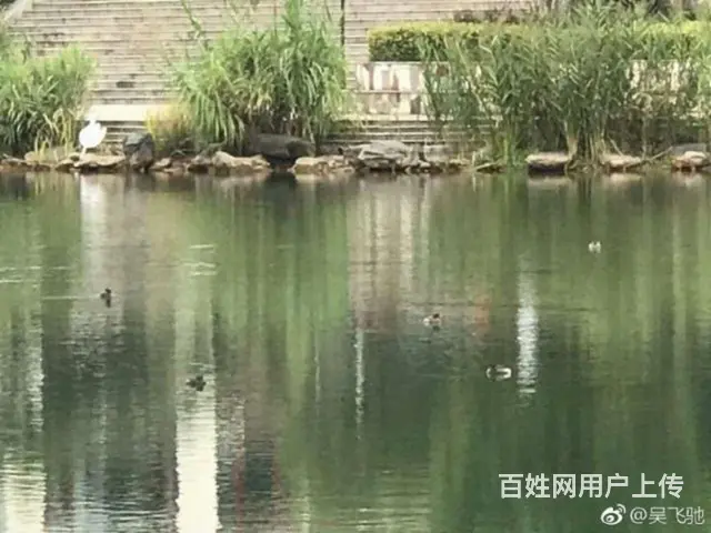 前后花园电梯防空洞豪宅 - 图片 2