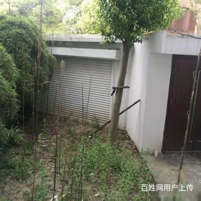 恐龙园旁长兴秀江南联排别墅边户毛坯245平米南进户 - 图片 8