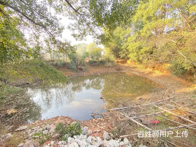 黄花黄兴大道松雅湖占地5亩场地，厂房，带整栋房屋，鱼塘出租 - 图片 11