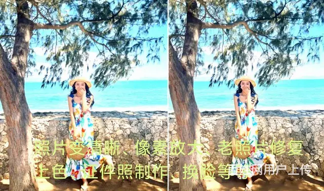老照片修复黑白照片上色模糊变清晰 - 图片 2