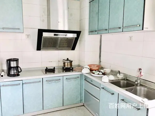 白天鹅花园二期 2房精装 测量鞋挤眼毁坏 已懂得皮 - 图片 9