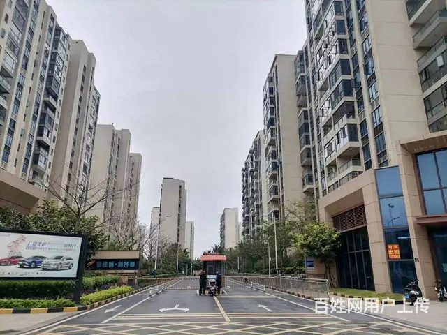 (51旺铺推荐）龙华区碧桂园剑桥郡65平铺面出租 - 图片 2