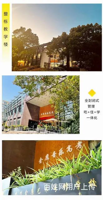 浙江艺考培训学校学音乐，音乐艺考集训一般多少钱 - 图片 2