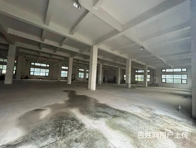 横琴独门独院厂房招租 空地1.7万平米 花园空地免 - 图片 6