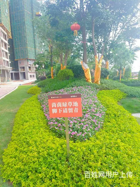 梧州江景楼盘！首付5万起！月供2700！三房两厅 - 图片 11