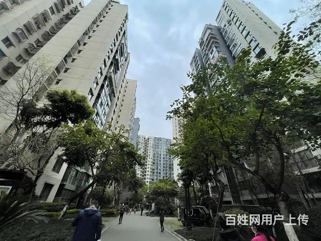 精选）日收发量2500票快递店转让(带三通一达承包区) - 图片 9
