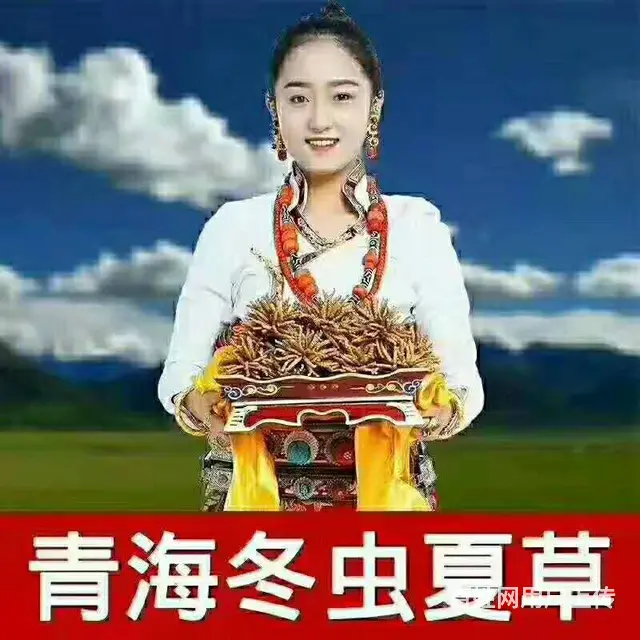 成都欢乐谷香烟虫草老酒回收报价合理公平公正 - 图片 2