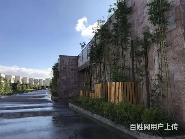 石岛 果岭7别墅 比邻高尔夫球场 背山面海 环境优 - 图片 10