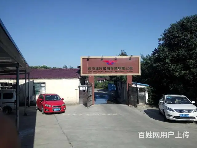 专业防治各种害虫灭鼠灭螂灭蝇灭蚊，一次付费一年无忧 - 图片 9