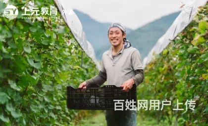 张家港小语种培训中心-小语种应该如何选择学习呢 - 图片