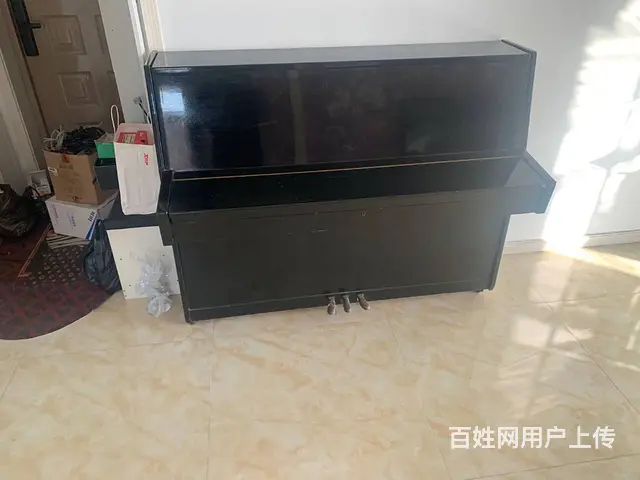 钢琴 - 图片 4
