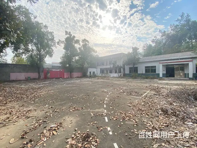 (房东直租)白箬铺319国道占地6亩场地，学校，可随时改厂房 - 图片 7