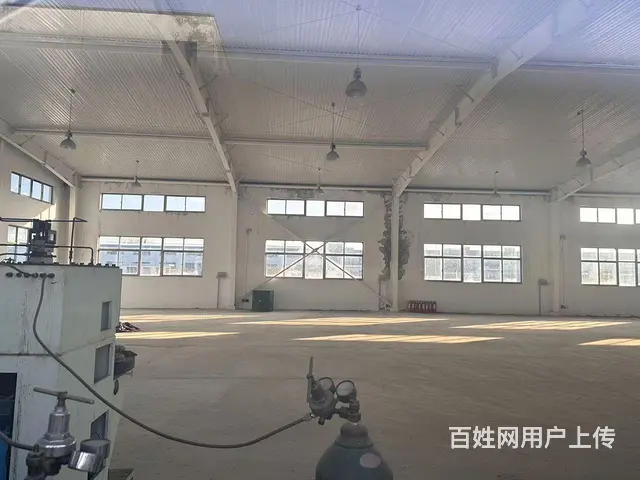 （新房源）初村钢结构独门独院8米高厂房大院子出租 - 图片 9