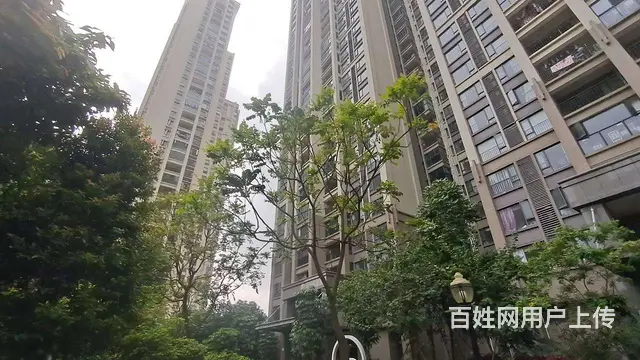 航空新城 保利香槟国际花园 精装3房 家电齐全 拎包入住 - 图片 10
