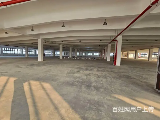 支塘独栋全新1至3楼每层6000平，高12米，可架20吨行车 - 图片 5
