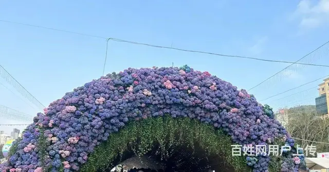 珠海绿雕 鲜花雕塑 假花雕塑 花艺雕塑 - 图片 6