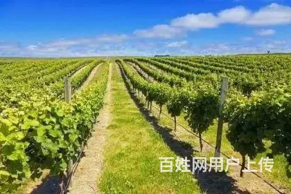 新西兰急招建筑技术工月薪36000人民币包吃住 - 图片 3