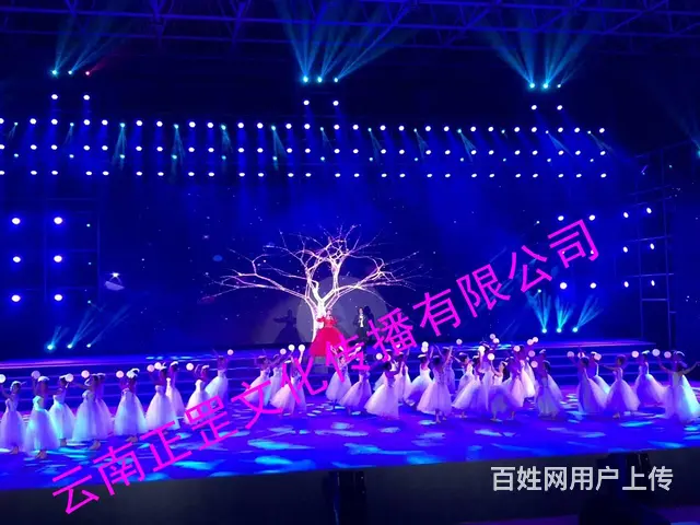 婚礼拍摄、会议直播、摄影摄像、演出录制、网红直播 - 图片 7