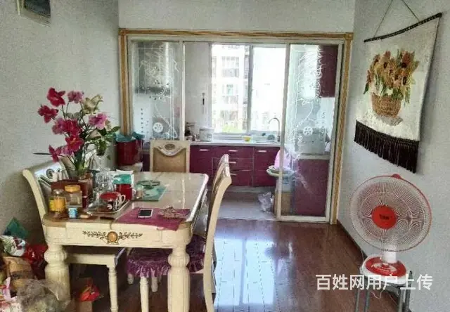 雷锋路小学上城国际 皖西中学  普通住宅2厅 豪华装修 - 图片 5