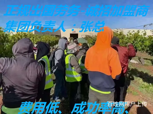 河北秦皇岛卢龙正规手续出国劳务招收银员出国打工 - 图片 7