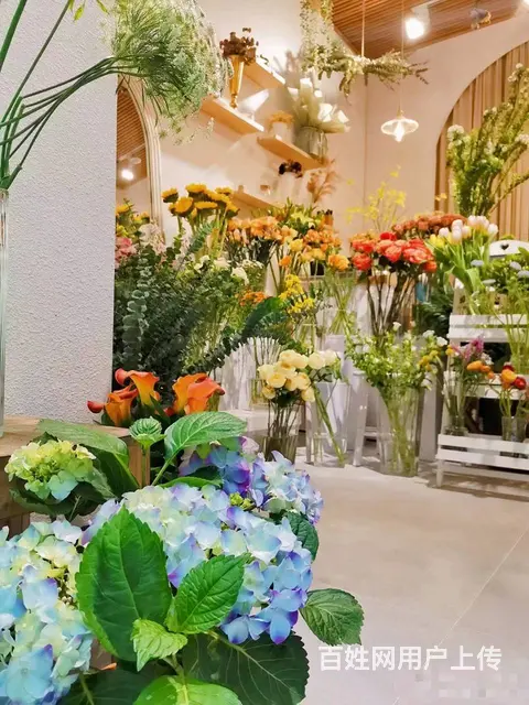 （同城乐铺推广）丽彩珠泉广场29平花店转让，客源稳定 - 图片 3