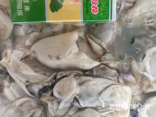 乳山生蚝  生蚝肉批发  零售  水产批发零售 - 图片 3
