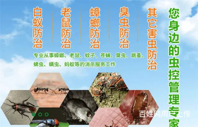 清远清城专业空气净化多少钱 - 图片 1