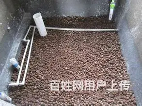 珠海陶粒 过筛无粉尘的靓陶粒 颗粒均匀饱满 硬度强 - 图片 8